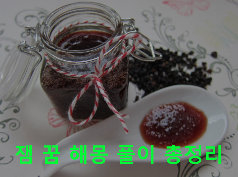 잼 꿈 해몽 풀이 총정리