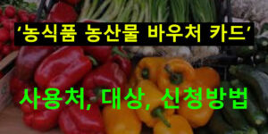 농식품 농산물 바우처 카드 사용처, 대상, 신청방법