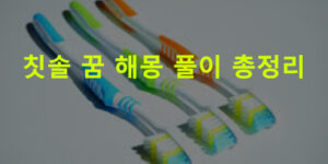 칫솔 꿈 해몽 풀이 총정리