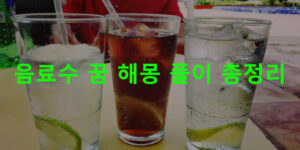 음료수 꿈 해몽 풀이 총정리