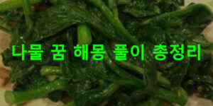 나물 꿈 해몽 풀이 총정리
