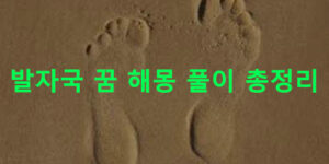 발자국 꿈 해몽 풀이 총정리