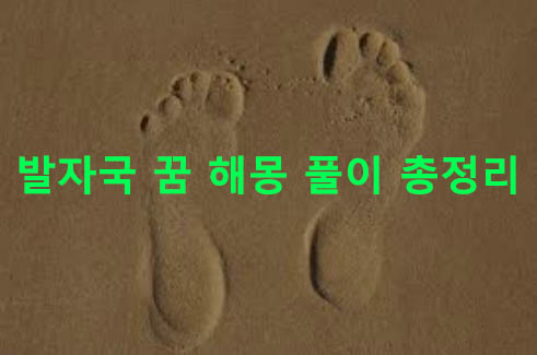 발자국 꿈 해몽 풀이 총정리