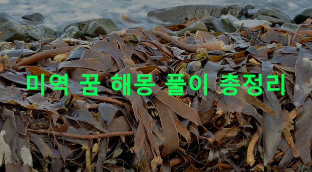 미역 꿈 해몽 풀이 총정리