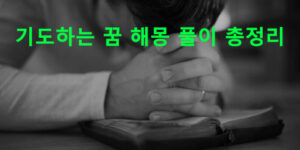 기도하는 꿈 해몽 풀이 총정리