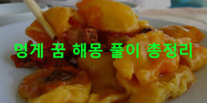 멍게 꿈 해몽 풀이 총정리