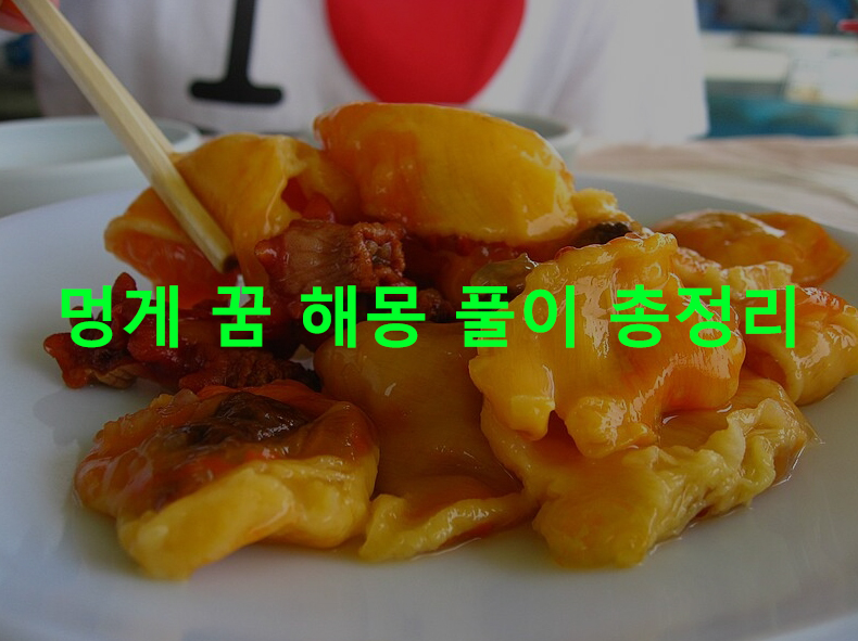 멍게 꿈 해몽 풀이 총정리