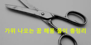 가위 나오는 꿈 해몽 풀이 총정리