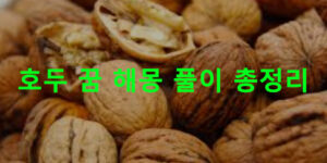 호두 꿈 해몽 풀이 총정리