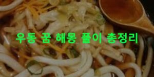우동 꿈 해몽 풀이 총정리