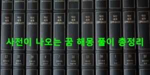 사전이 나오는 꿈 해몽 풀이 총정리