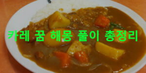 카레 꿈 해몽 풀이 총정리