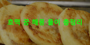 호떡 꿈 해몽 풀이 총정리