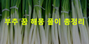 부추 꿈 해몽 풀이 총정리