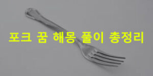 포크 꿈 해몽 풀이 총정리
