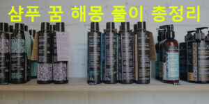 샴푸 꿈 해몽 풀이 총정리