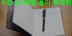 수첩 꿈 해몽 풀이 총정리