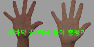 손바닥 꿈 해몽 풀이 총정리