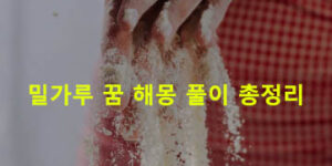 밀가루 꿈 해몽 풀이 총정리