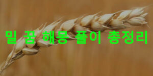 밀 꿈 해몽 풀이 총정리