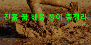 진흙 꿈 해몽 풀이 총정리