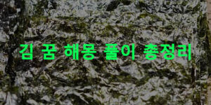 김 꿈 해몽 풀이 총정리