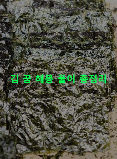 김 꿈 해몽 풀이 총정리