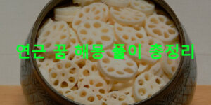 연근 꿈 해몽 풀이 총정리