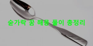 숟가락 꿈 해몽 풀이 총정리