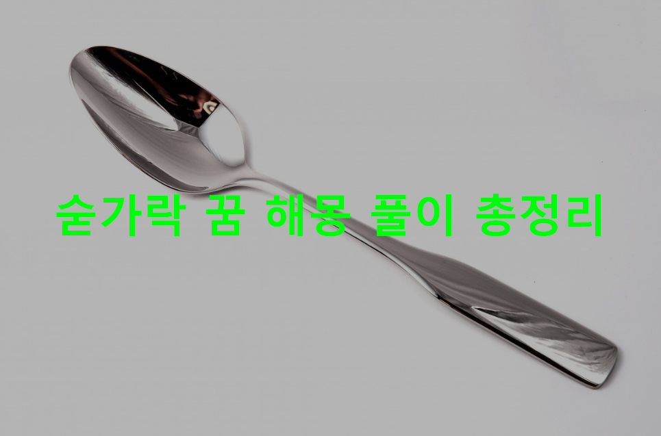 숟가락 꿈 해몽 풀이 총정리