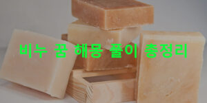비누 꿈 해몽 풀이 총정리