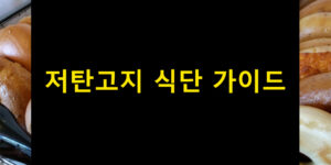 저탄고지 식단 가이드
