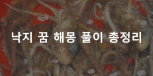 낙지 꿈 해몽 풀이 총정리