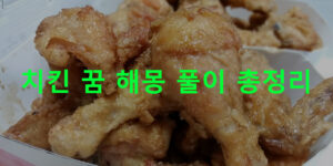 치킨 꿈 해몽 풀이 총정리