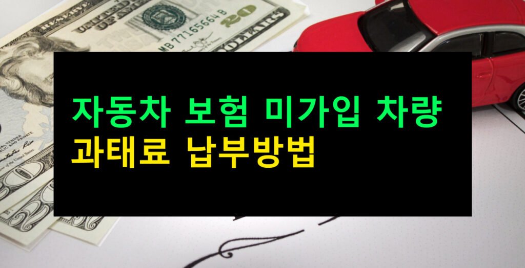 자동차 보험 미가입 차량 과태료 납부방법