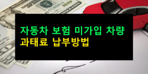 자동차 보험 미가입 차량 과태료 납부방법