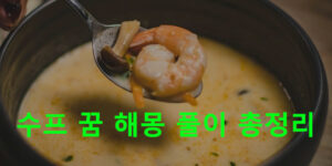 수프 꿈 해몽 풀이 총정리