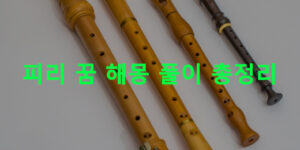 피리 꿈 해몽 풀이 총정리