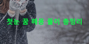 첫눈 꿈 해몽 풀이 총정리