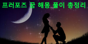 프러포즈 꿈 해몽 풀이 총정리