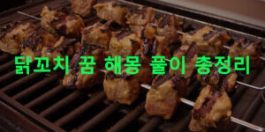 닭꼬치 꿈 해몽 풀이 총정리