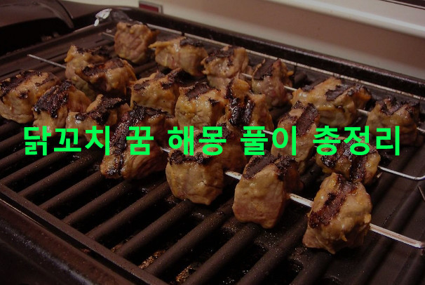 닭꼬치 꿈 해몽 풀이 총정리