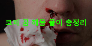 코피 꿈 해몽 풀이 총정리