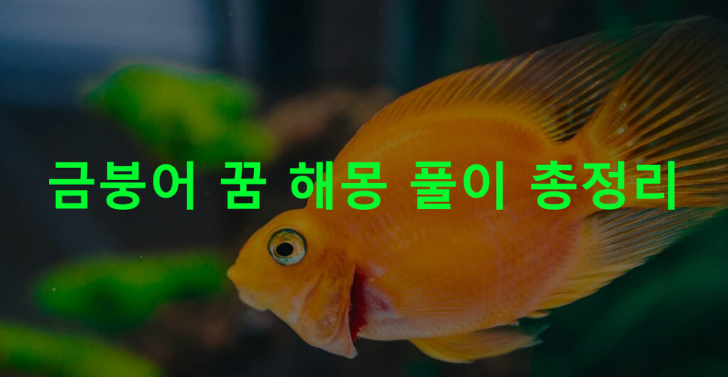 금붕어 꿈 해몽 풀이 총정리