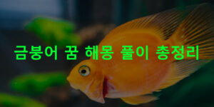 금붕어 꿈 해몽 풀이 총정리