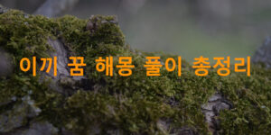 이끼 꿈 해몽 풀이 총정리