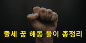 출세 꿈 해몽 풀이 총정리