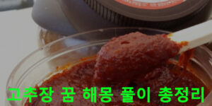 고추장 꿈 해몽 풀이 총정리