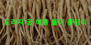 도라지 꿈 해몽 풀이 총정리