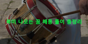 북이 나오는 꿈 해몽 풀이 총정리